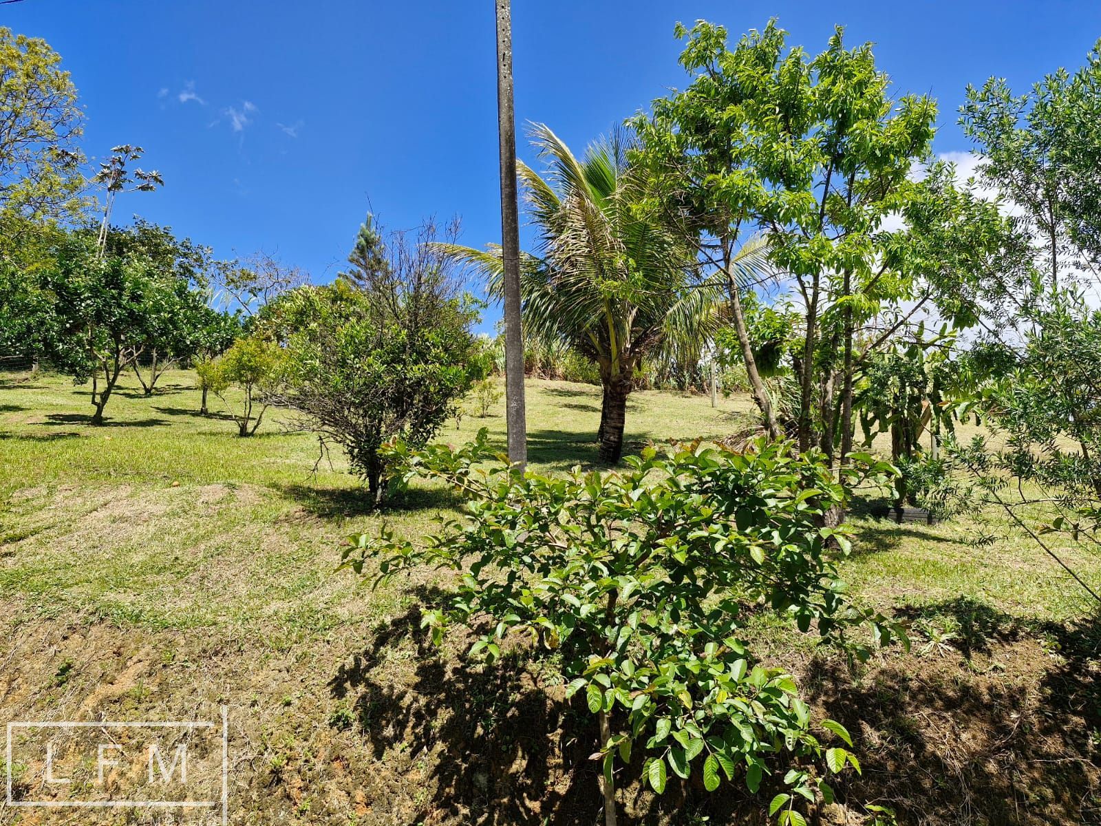 Chácara, 2 quartos, 5300 m² - Foto 21