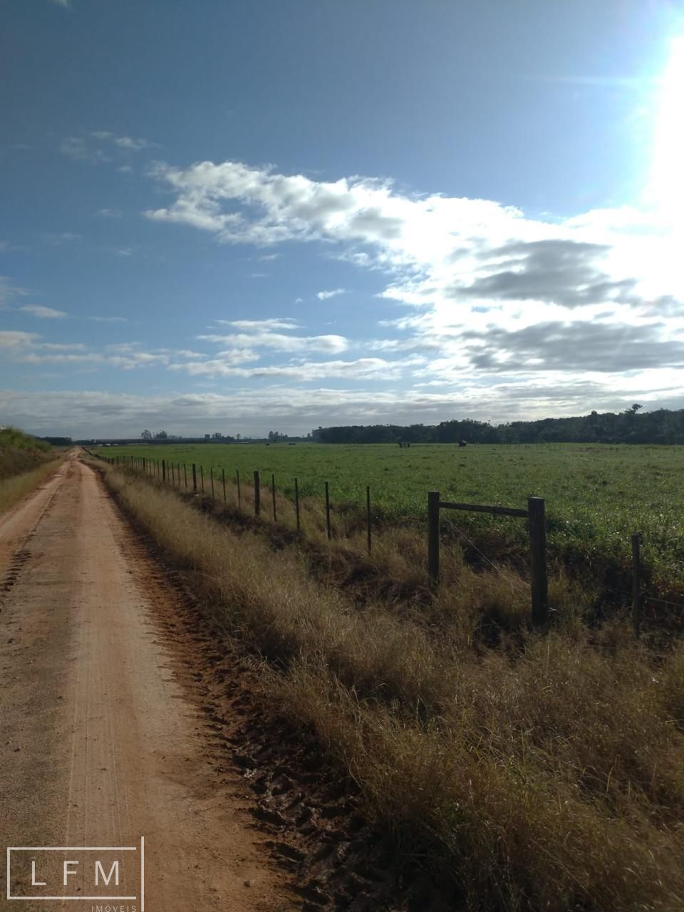 Fazenda à venda com 3 quartos, 119m² - Foto 36