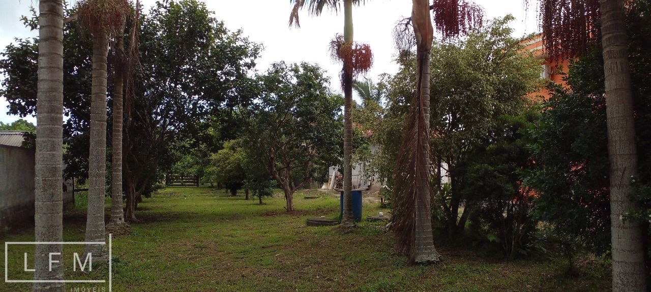 Fazenda à venda com 3 quartos, 140m² - Foto 26