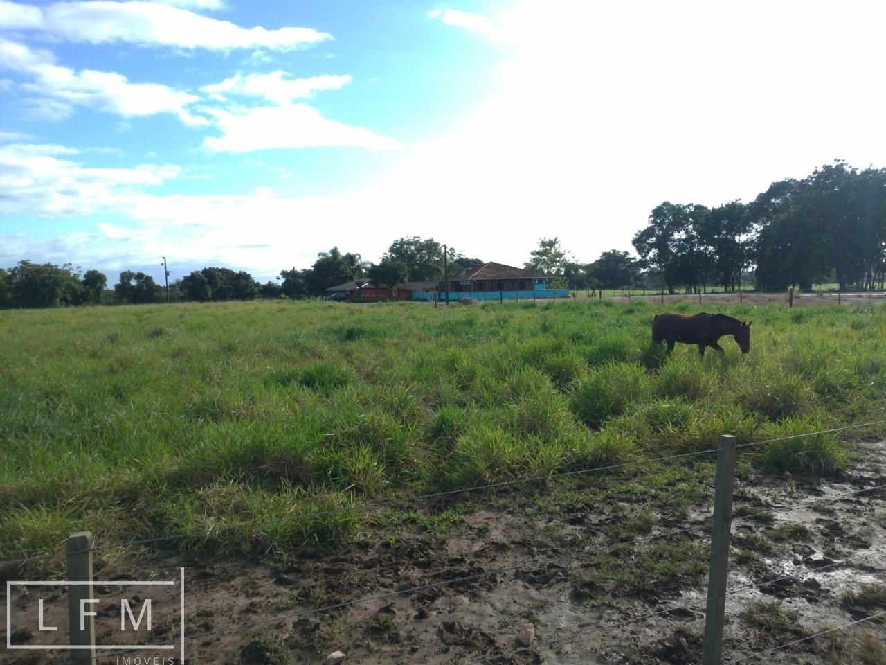 Fazenda à venda com 3 quartos, 119m² - Foto 44