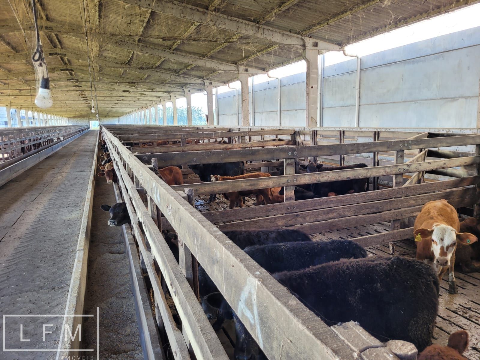 Fazenda, 800 m² - Foto 57