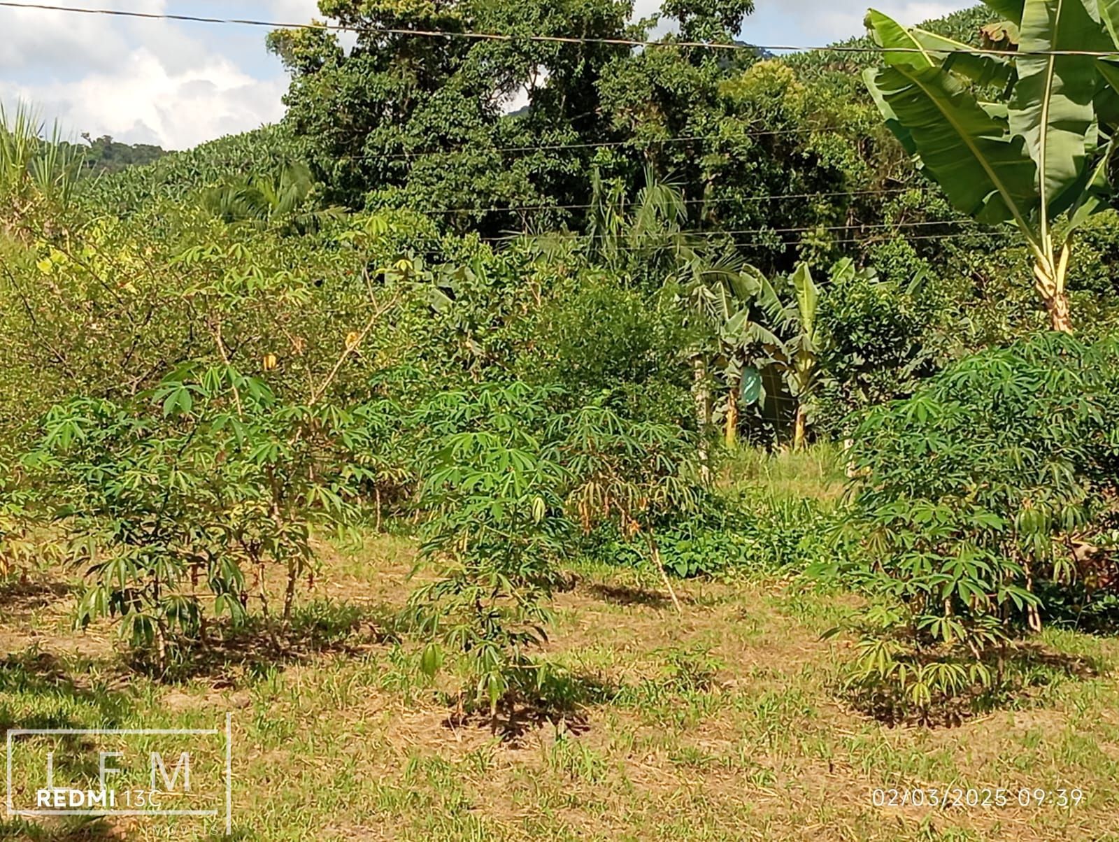 Sitio a venda em São Joao do Itaperiu Sc