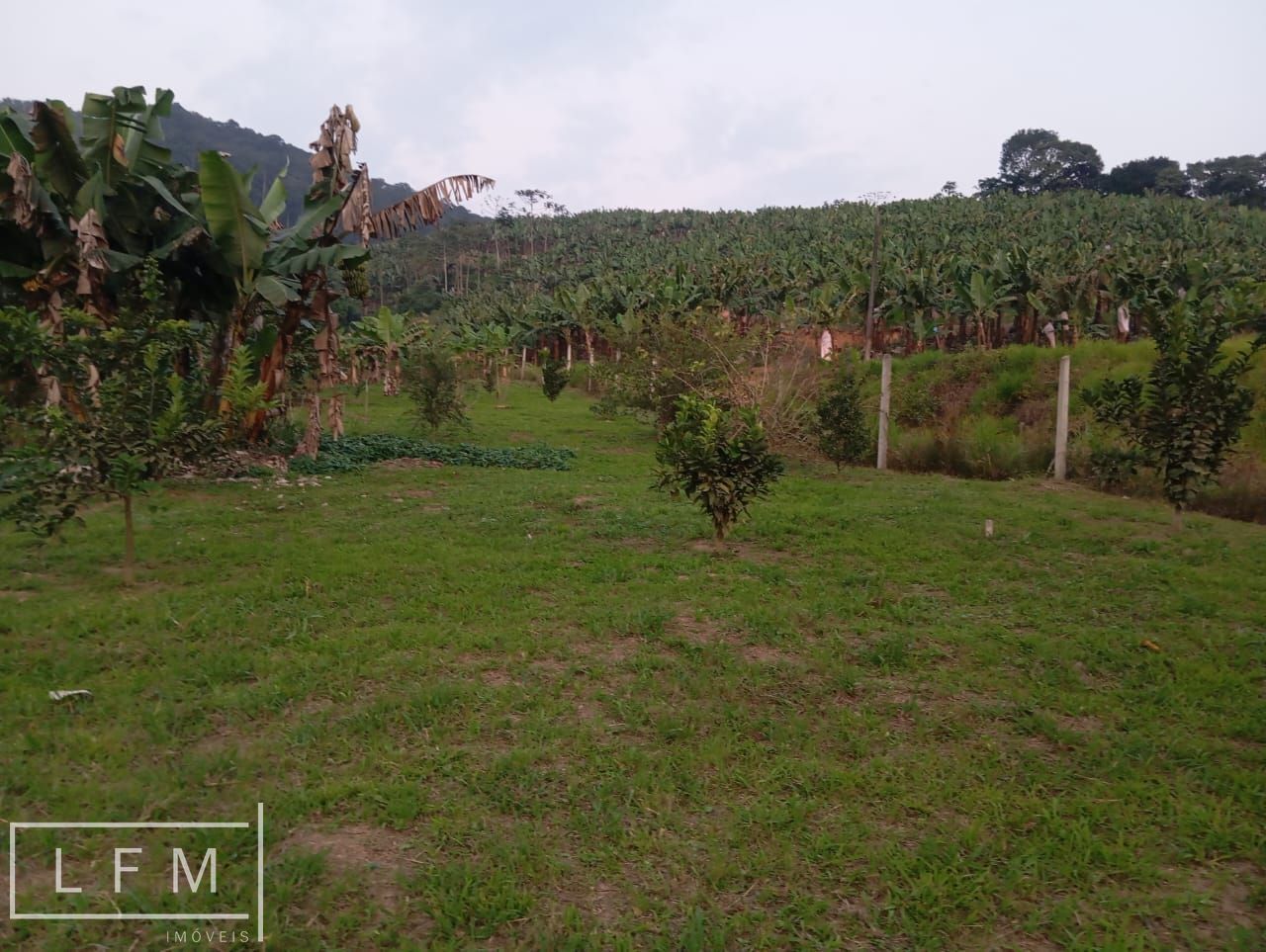 Sitio a venda em São Joao do Itaperiu Sc