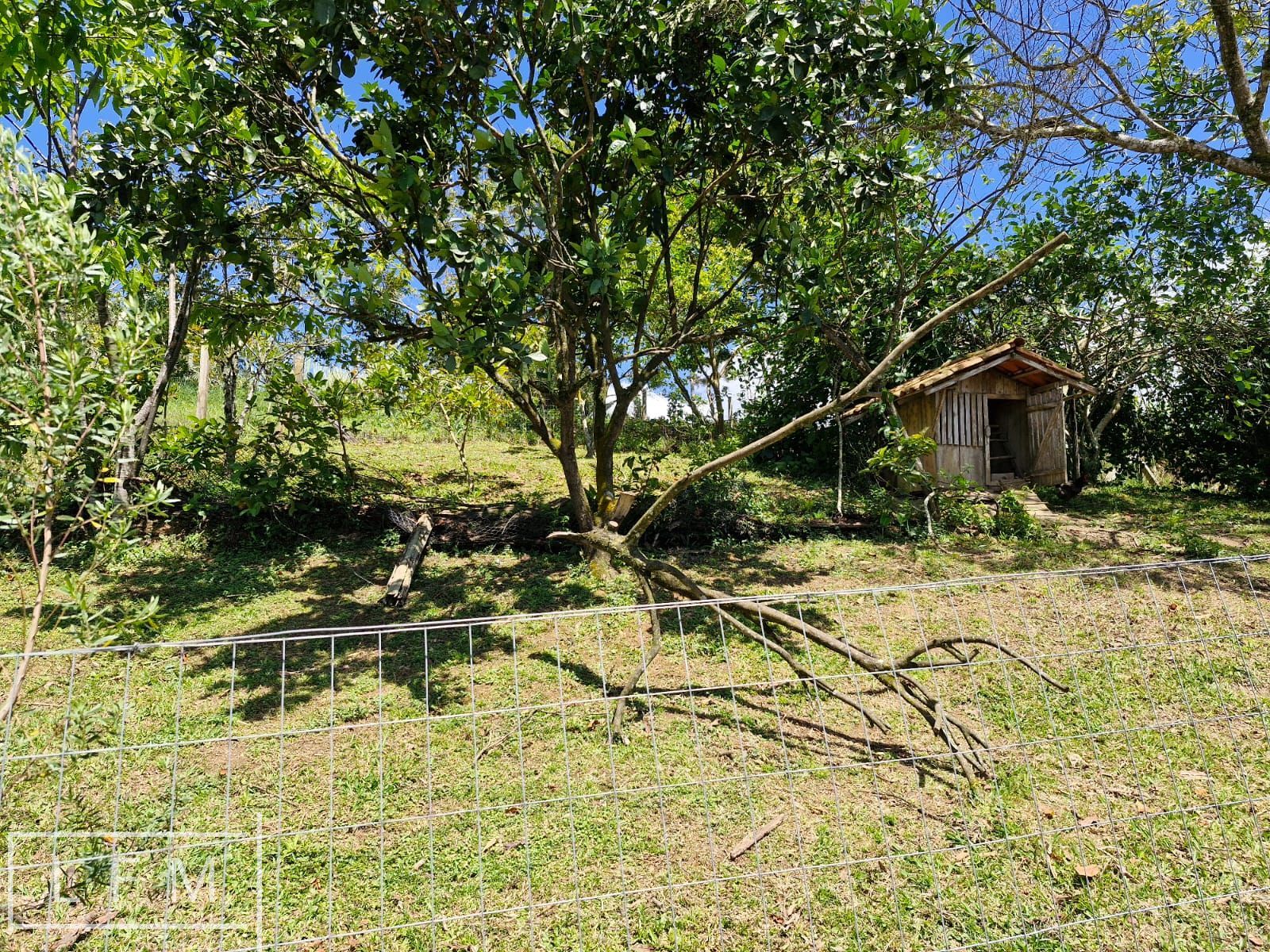 Chácara, 2 quartos, 5300 m² - Foto 23