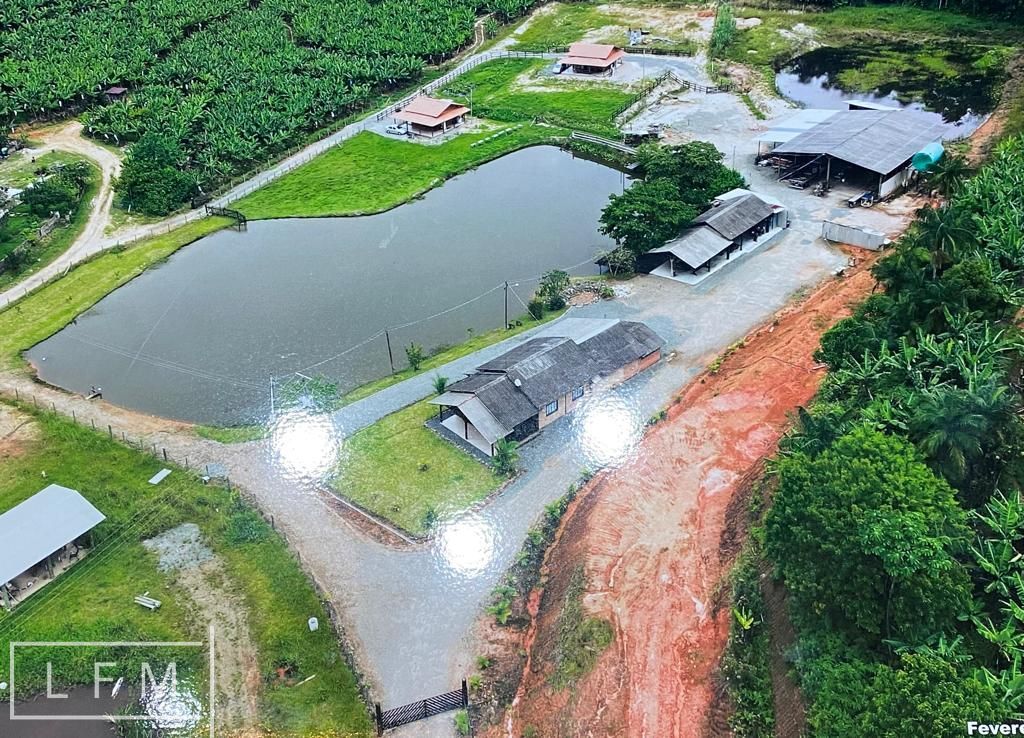 Sítio, 5 quartos, 2 hectares - Foto 1