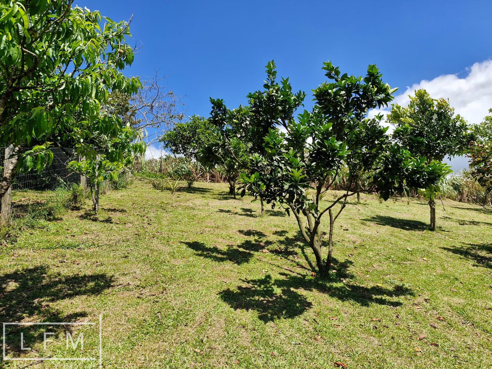 Chácara, 2 quartos, 5300 m² - Foto 22