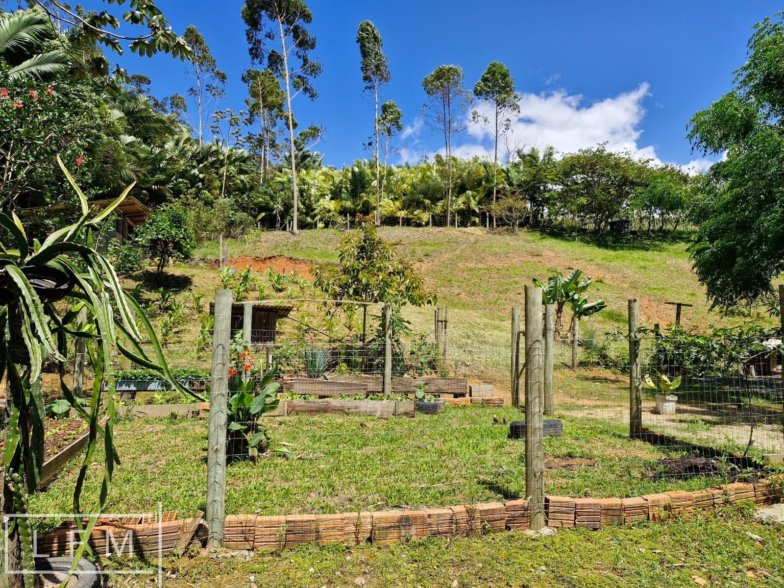 Chácara, 2 quartos, 5300 m² - Foto 25