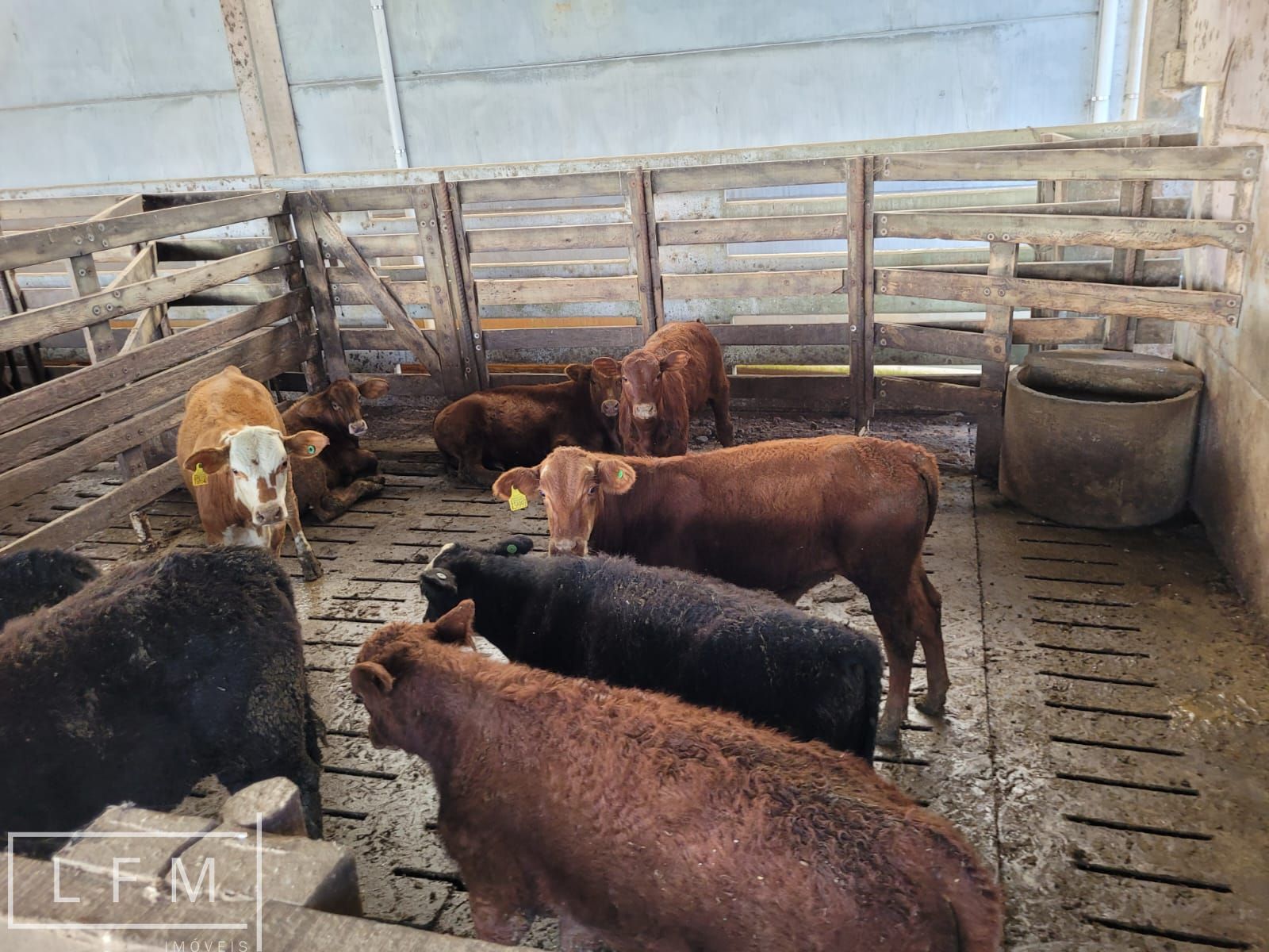 Fazenda, 800 m² - Foto 58