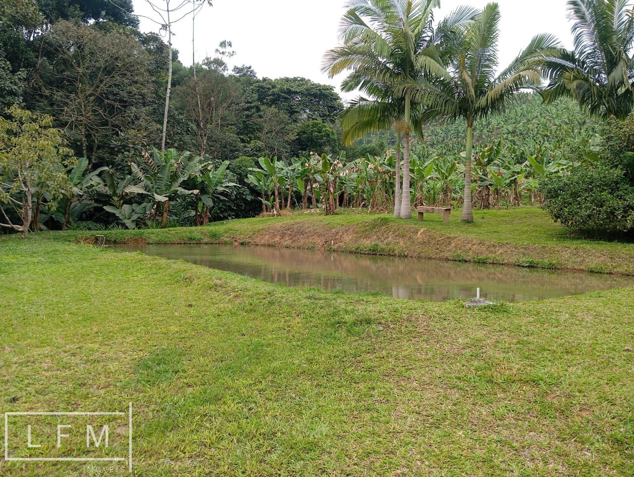 Sitio a venda em São Joao do Itaperiu Sc