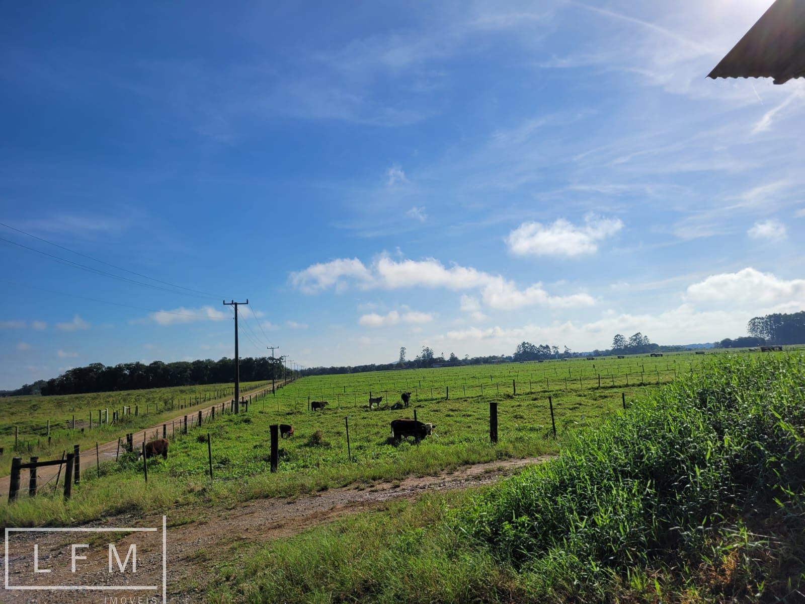 Fazenda, 800 m² - Foto 62