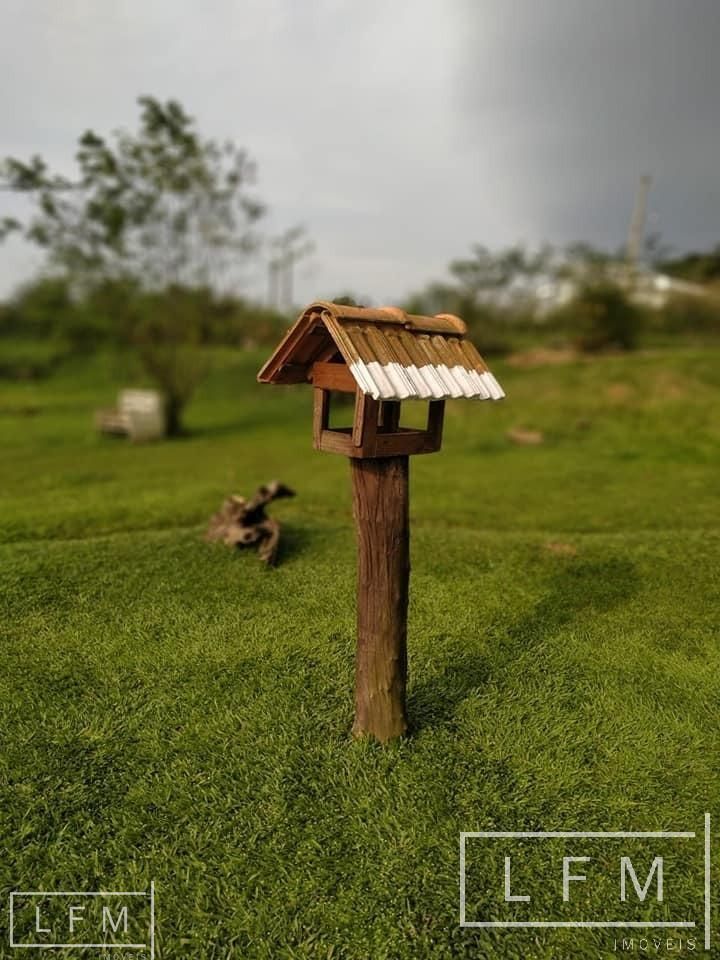 Fazenda à venda com 3 quartos, 10000m² - Foto 2