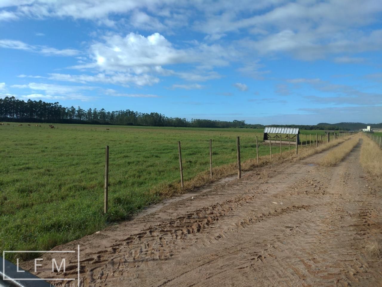 Fazenda à venda com 3 quartos, 119m² - Foto 33