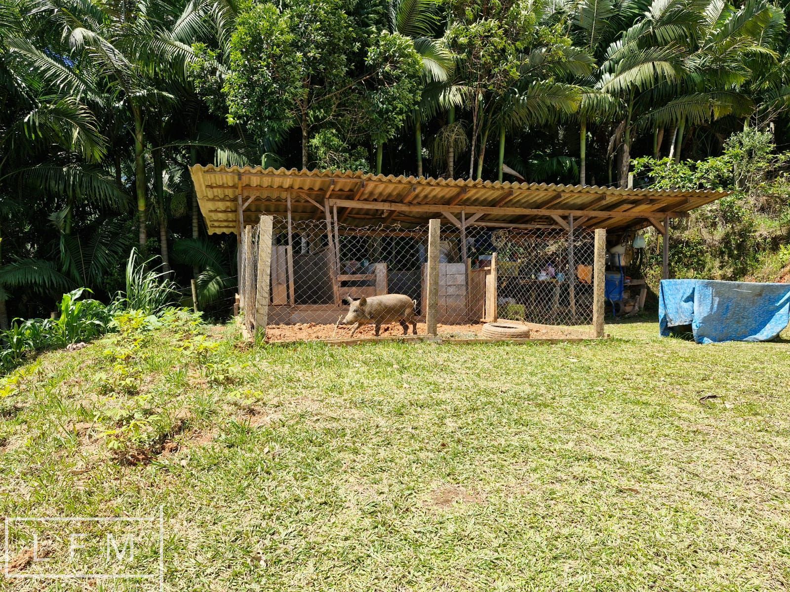 Chácara, 2 quartos, 5300 m² - Foto 17