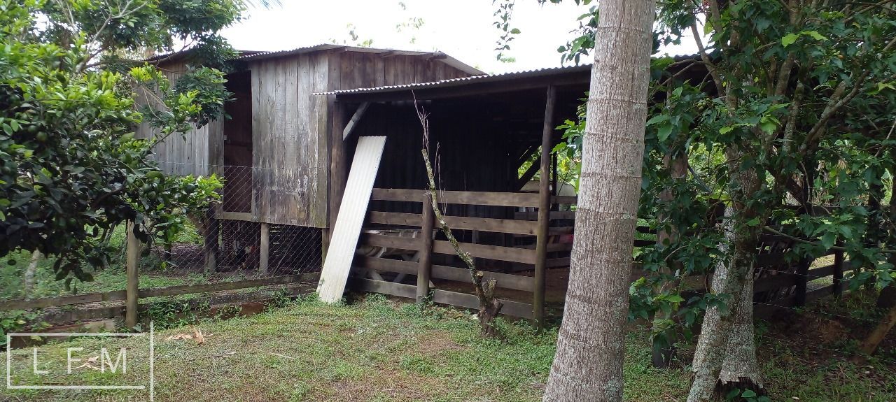 Fazenda à venda com 3 quartos, 140m² - Foto 30