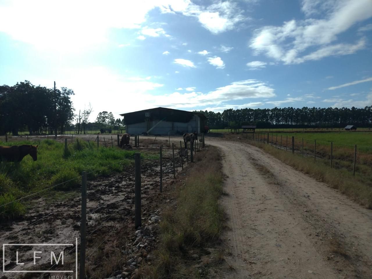 Fazenda à venda com 3 quartos, 119m² - Foto 25