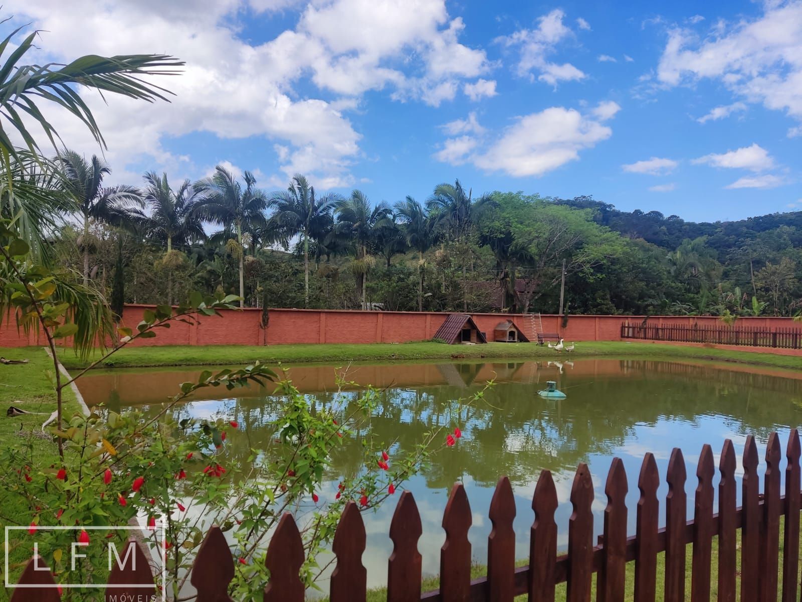 Fazenda à venda com 3 quartos, 140m² - Foto 16