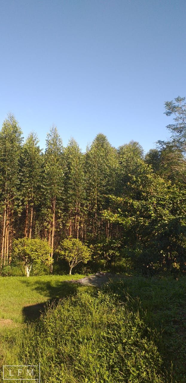 Fazenda-Sítio-Chácara, 2 quartos - Foto 3