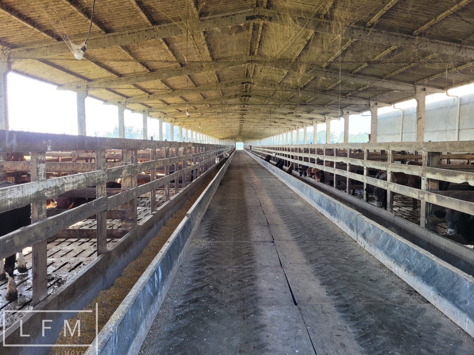 Fazenda, 800 m² - Foto 55