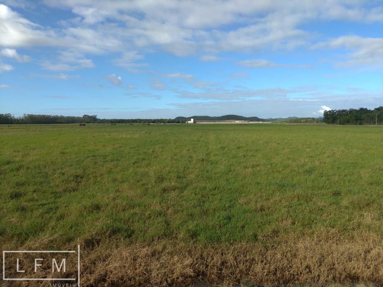 Fazenda à venda com 3 quartos, 119m² - Foto 52