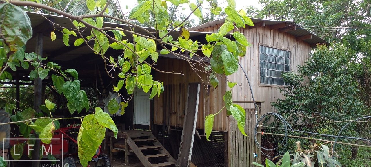 Fazenda à venda com 3 quartos, 140m² - Foto 27