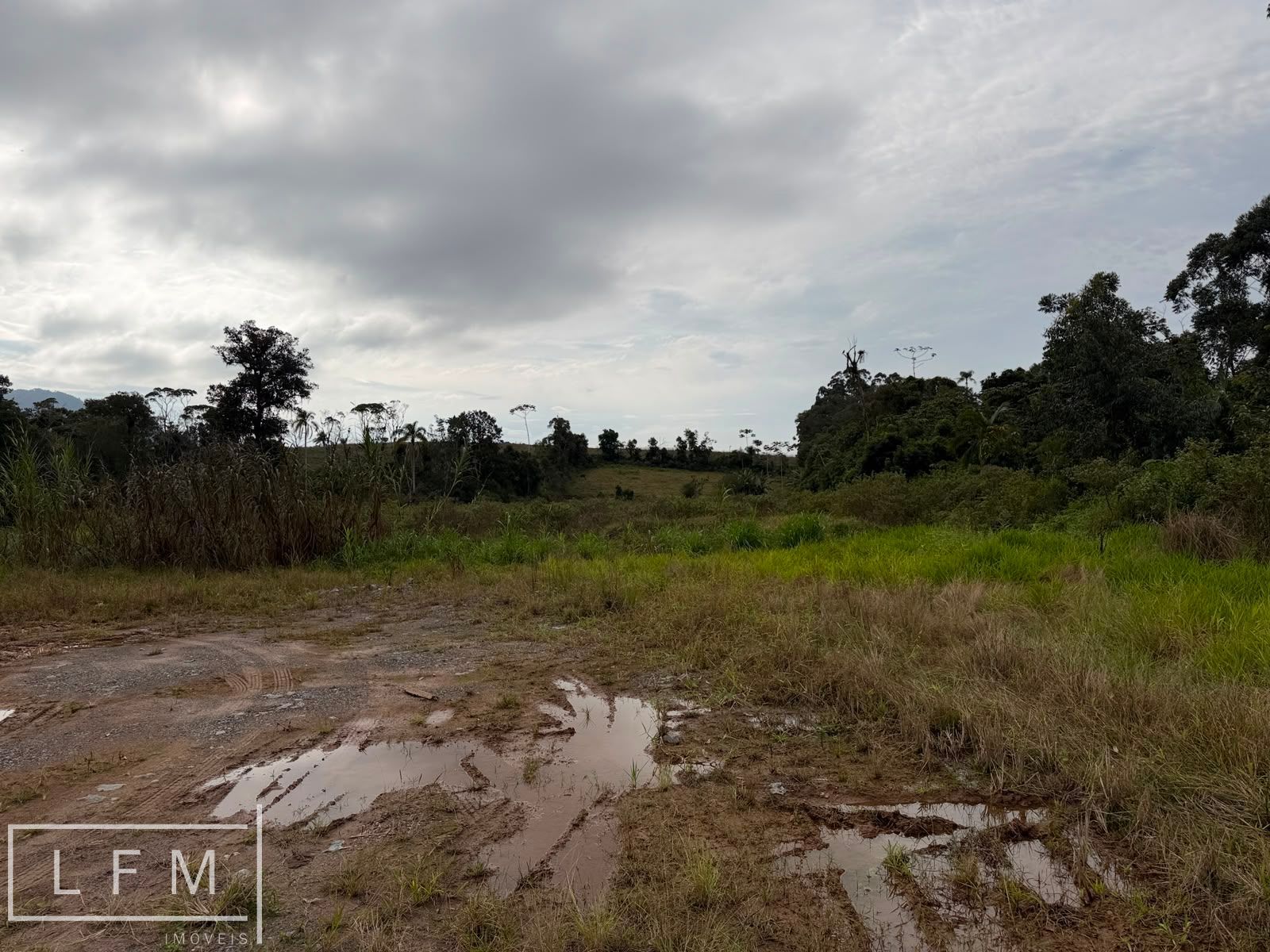 Terreno, 2 hectares - Foto 7