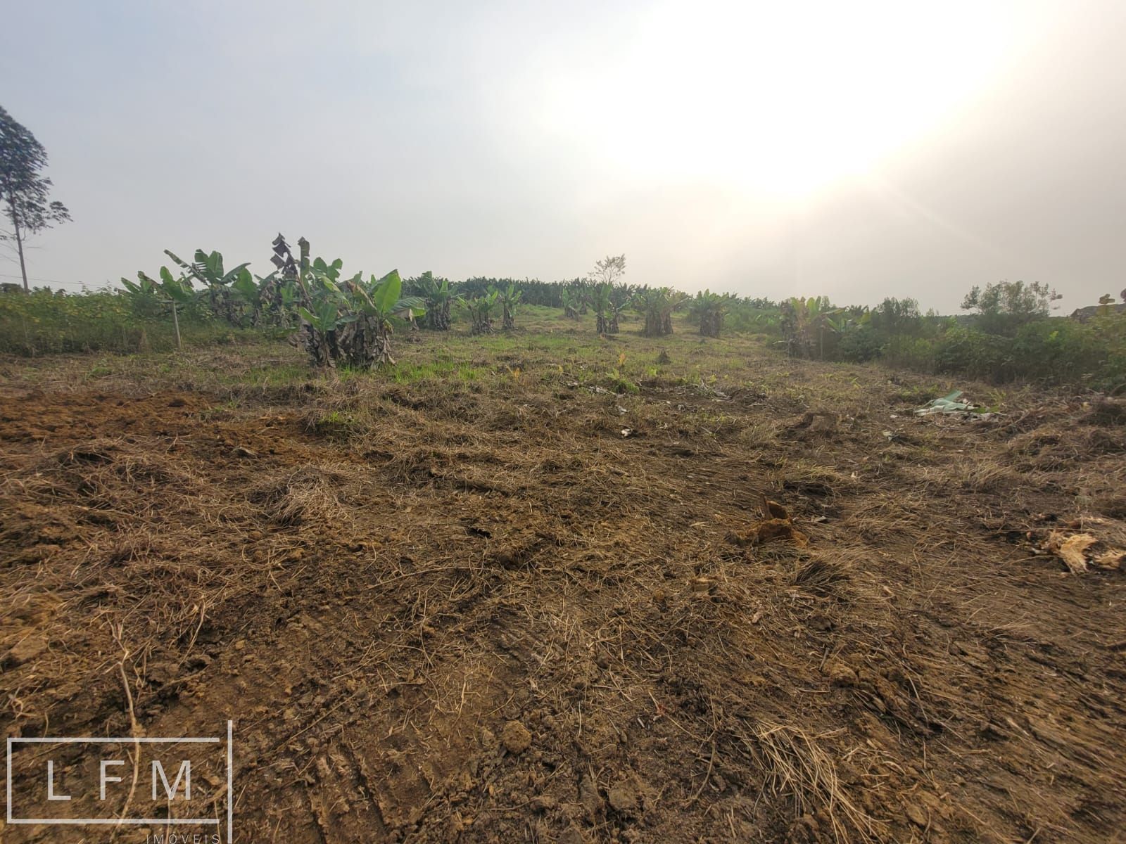 Fazenda/stio/chcara/haras  venda  no Zona Rural - So Joo do Itaperi, SC. Imveis