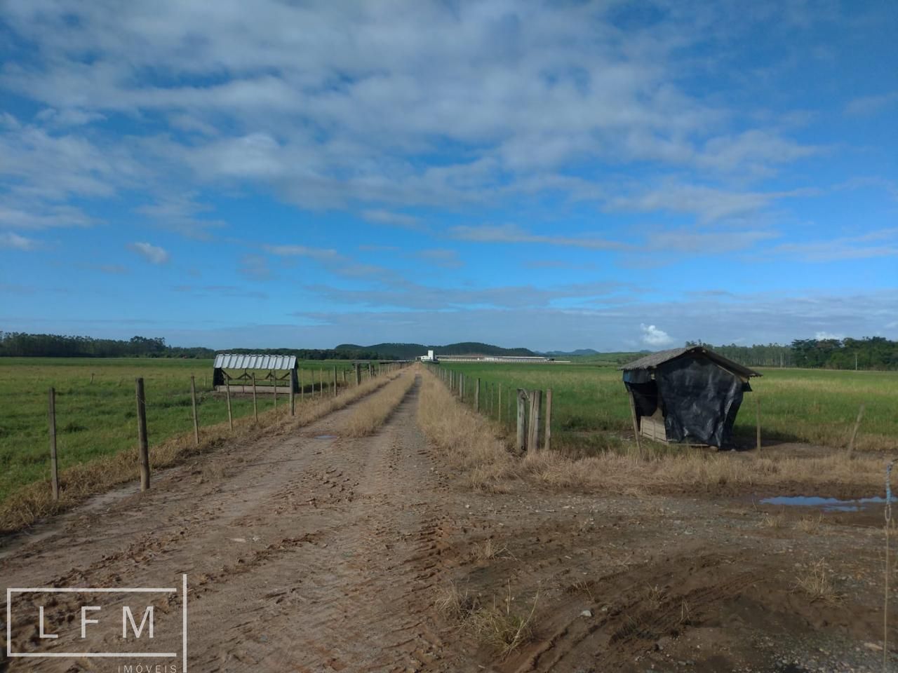 Fazenda à venda com 3 quartos, 119m² - Foto 30