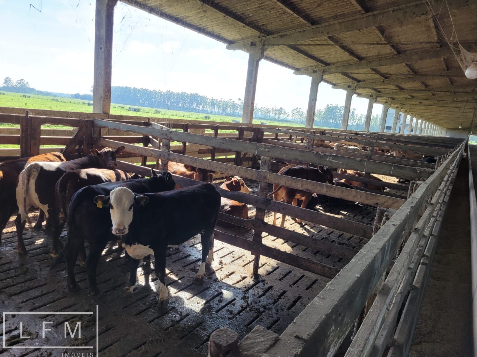 Fazenda, 800 m² - Foto 59