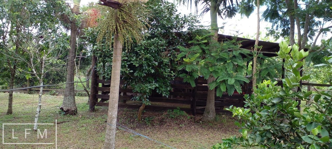 Fazenda à venda com 3 quartos, 140m² - Foto 31