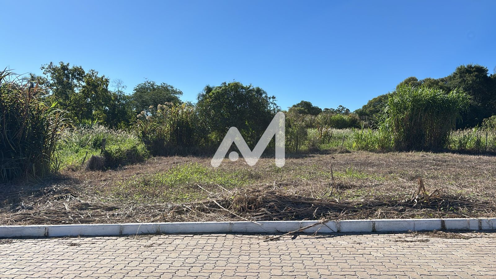 Terreno no bairro Costão em Estrela para Comprar