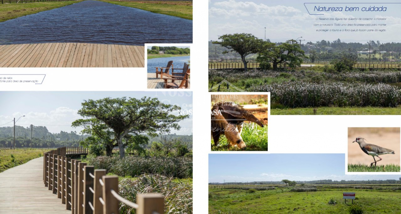 Terreno, 420 m² - Foto 11