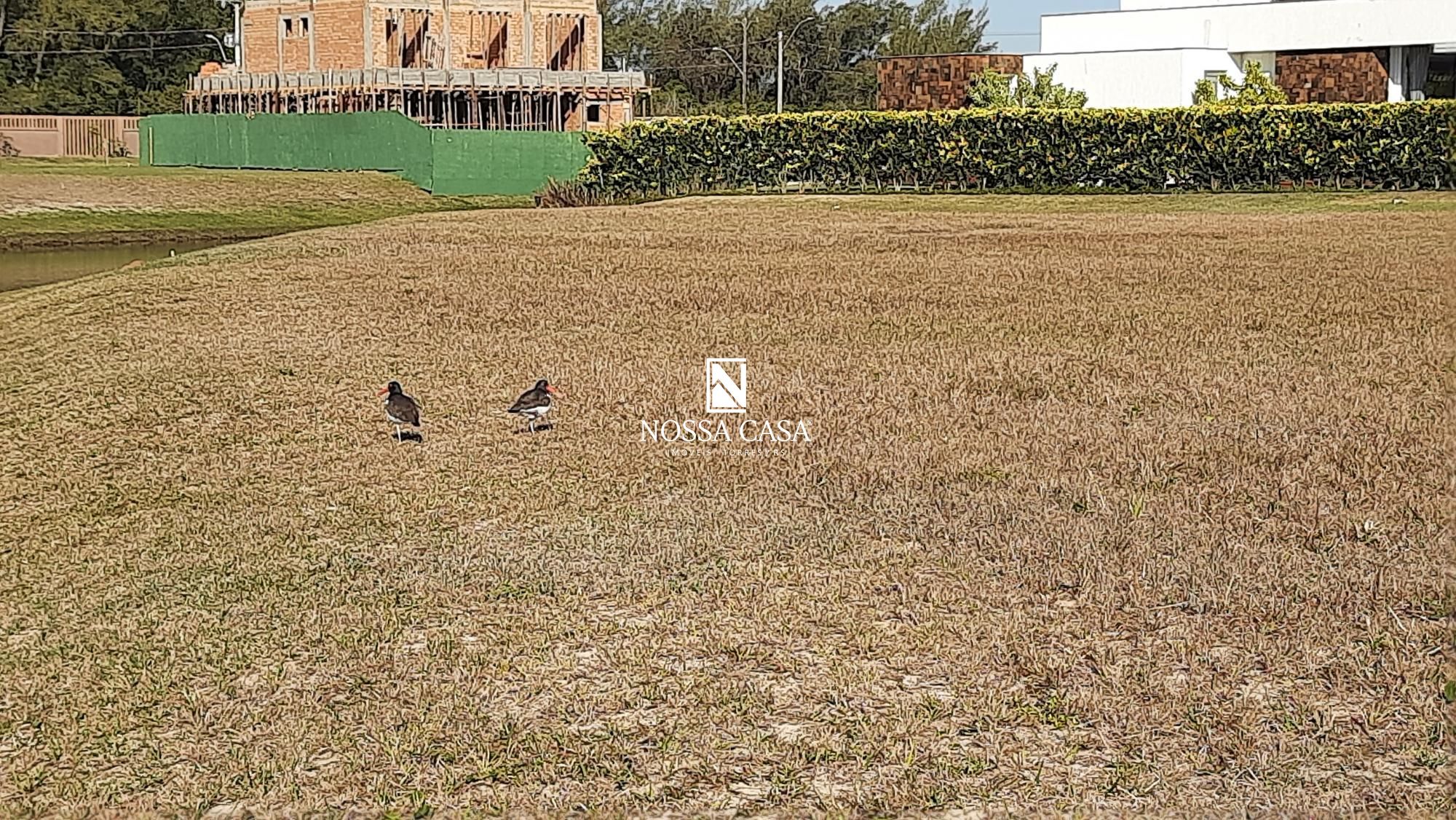 Terreno, 492 m² - Foto 2