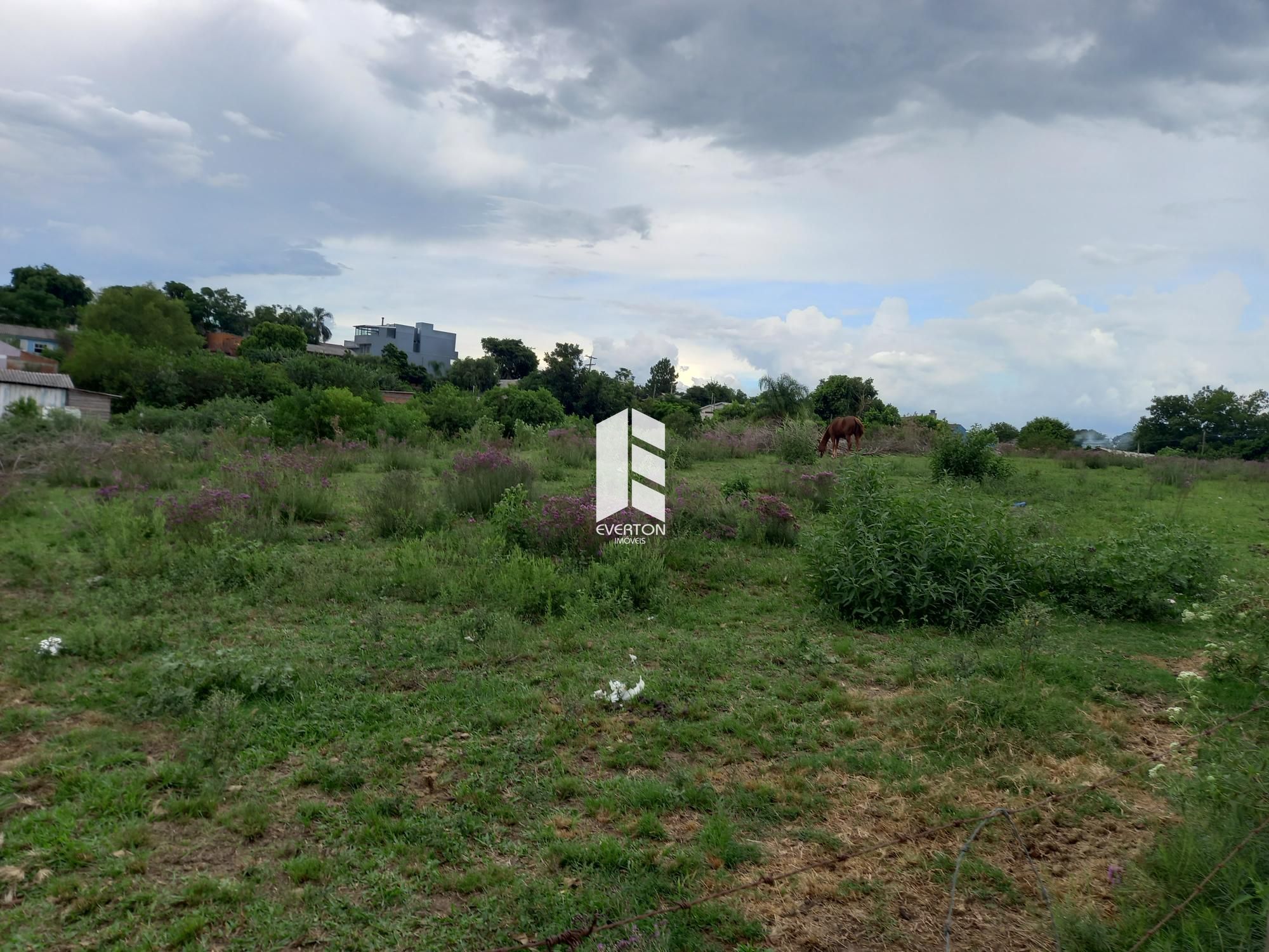 Lote/Terreno de 1000m² no bairro Pinheiro Machado, em Santa Maria | Eu Corretor