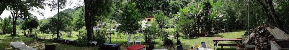 img69343761
