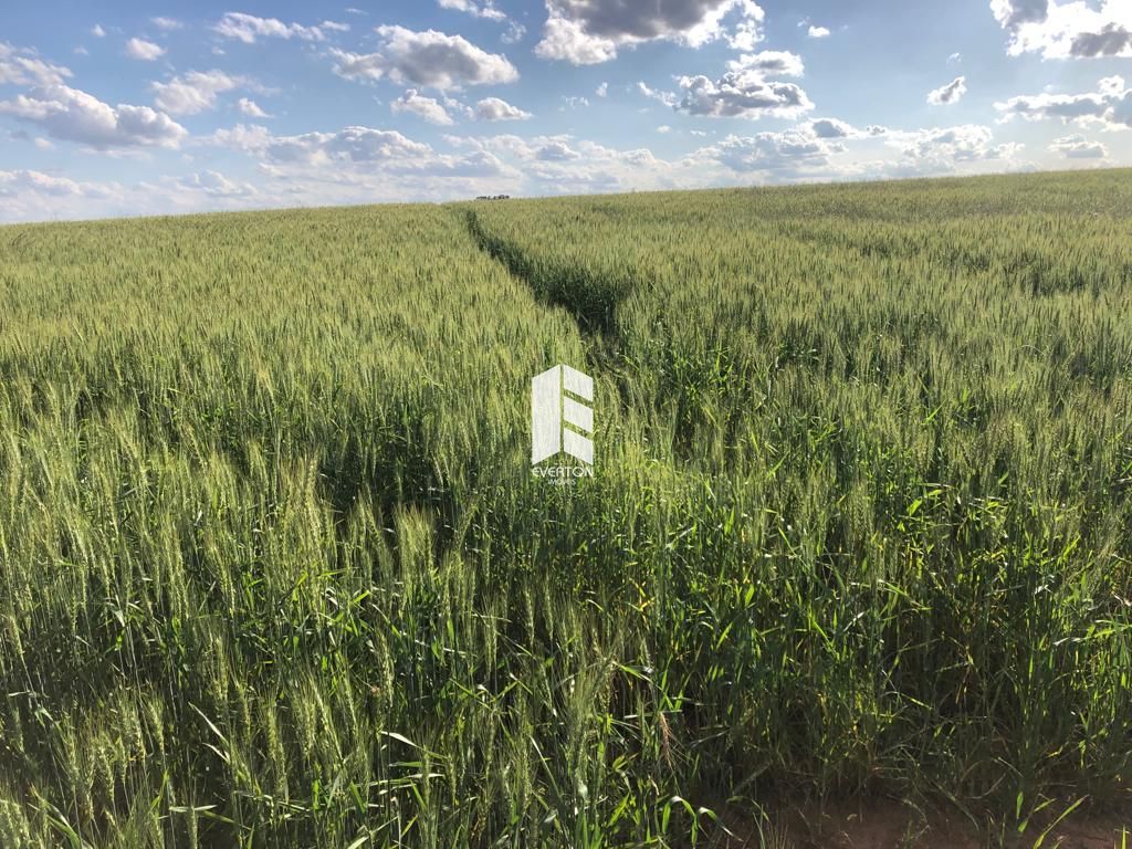 Fazenda para alugar Zona rural Tupanciretã/RS