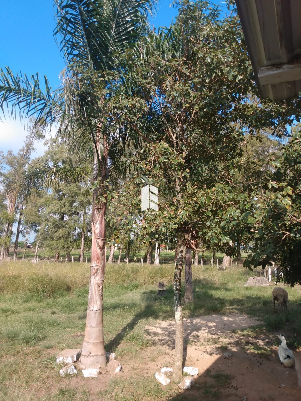 Chácara de 2 quartos, no bairro Boca do Monte, em Santa Maria | Eu Corretor