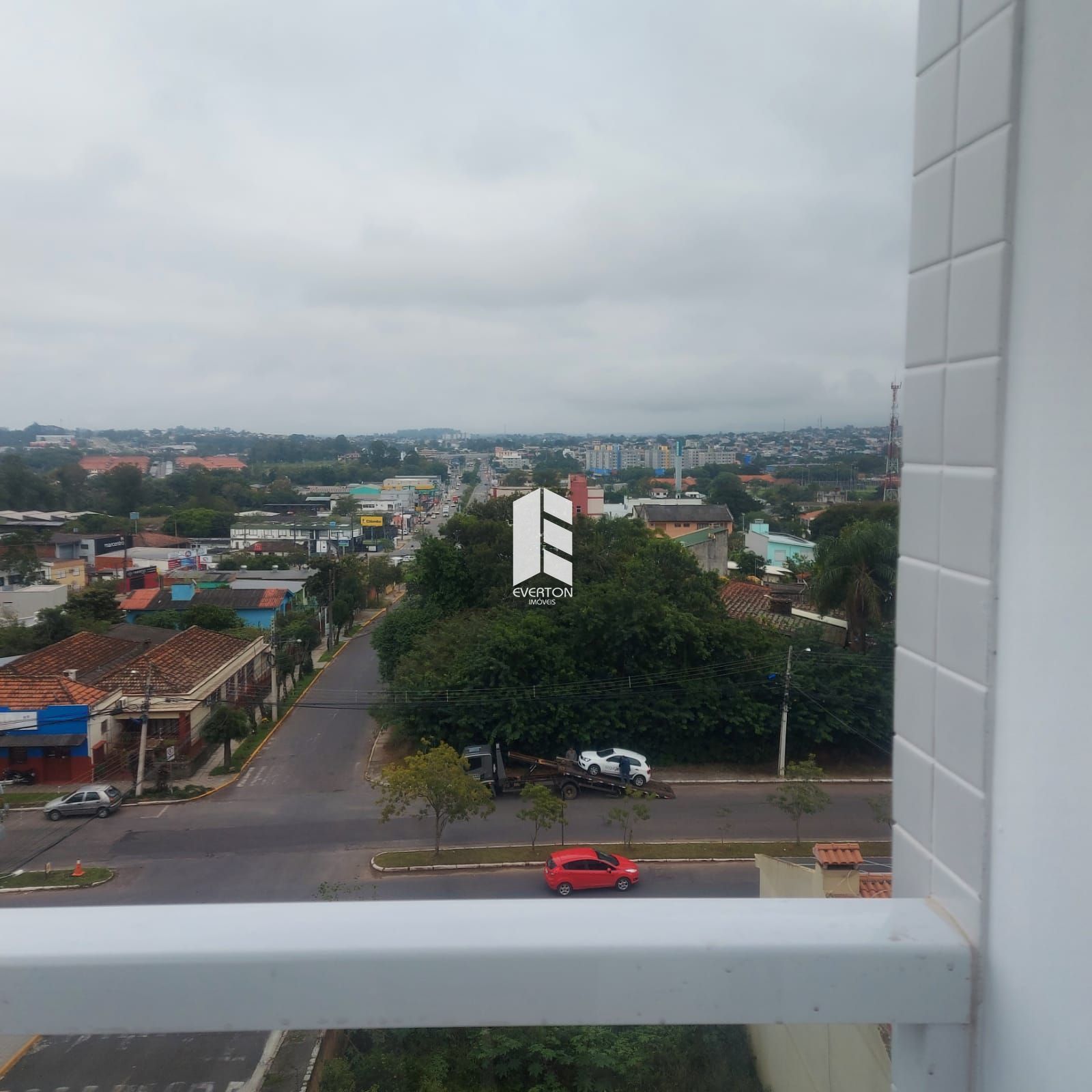 img20136033