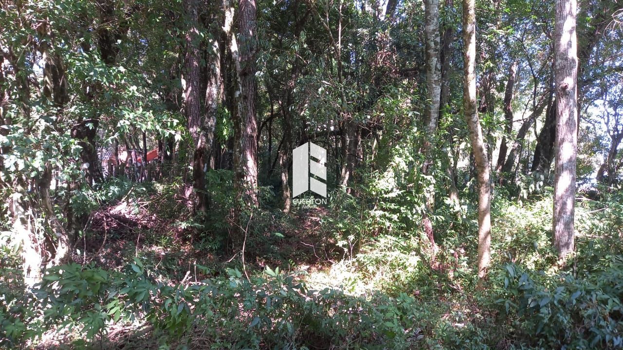 Terreno à venda parque pinhal itaara/rs