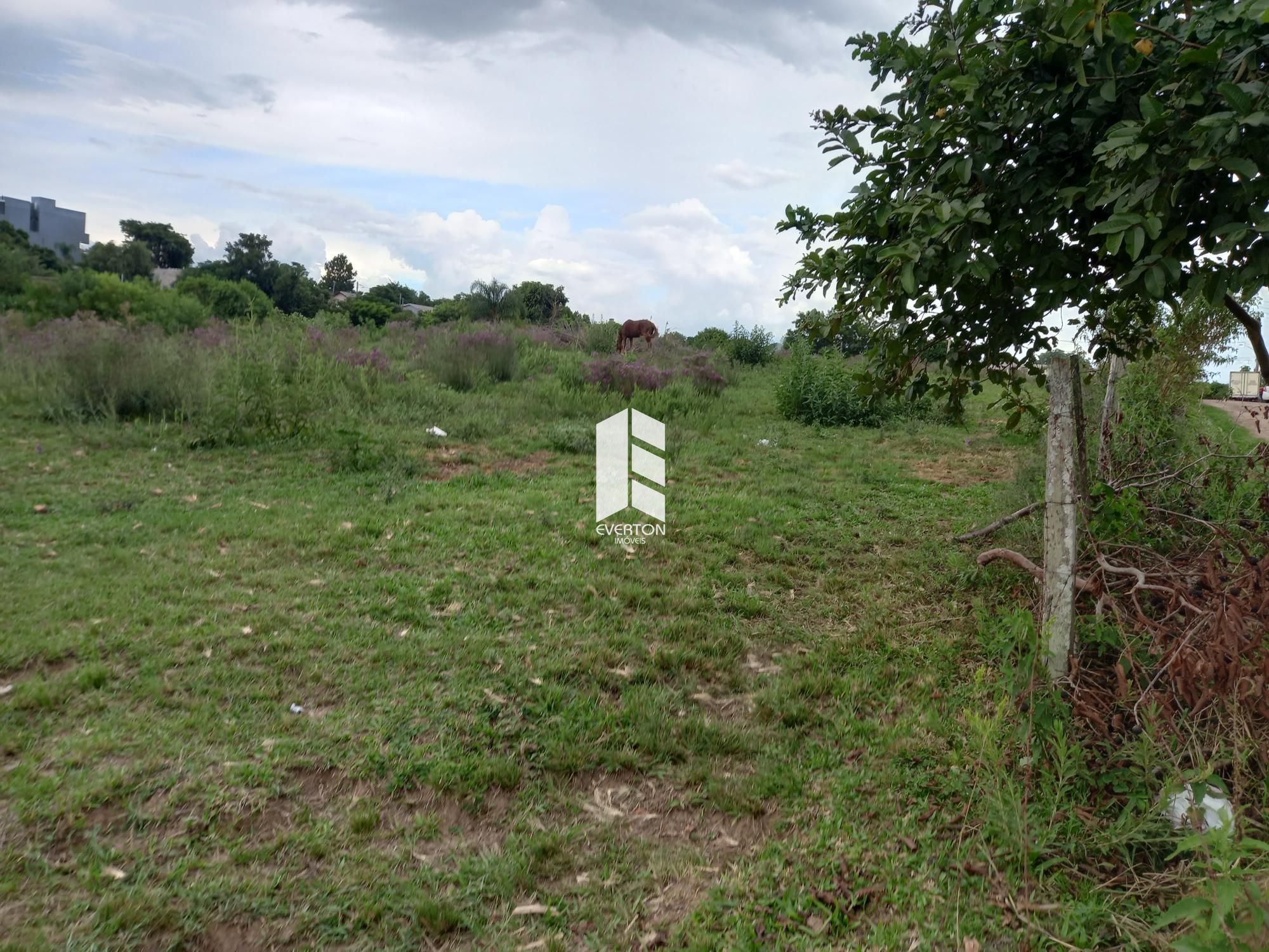 Lote/Terreno de 1000m² no bairro Pinheiro Machado, em Santa Maria | Eu Corretor