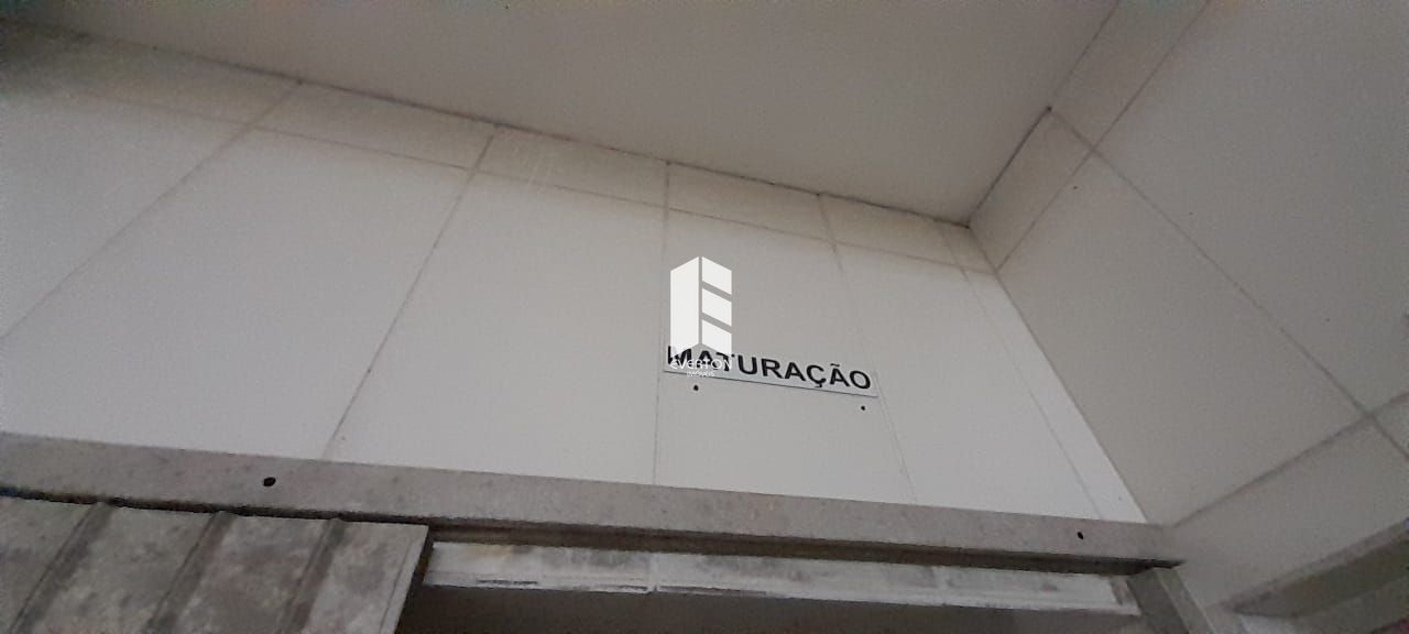 img60400572