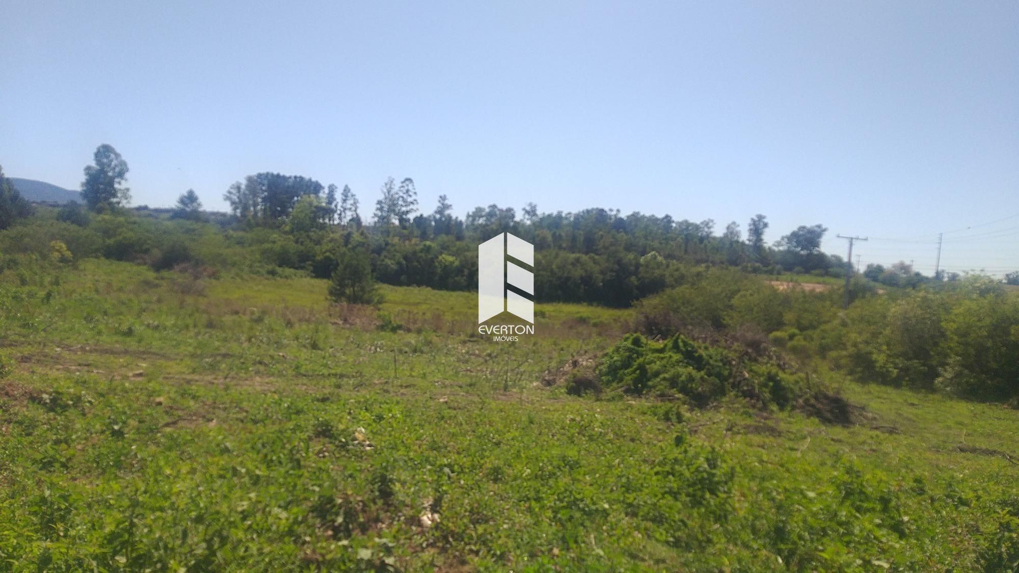 Lote/Terreno de 3680m² no bairro Cerrito, em Santa Maria | Eu Corretor