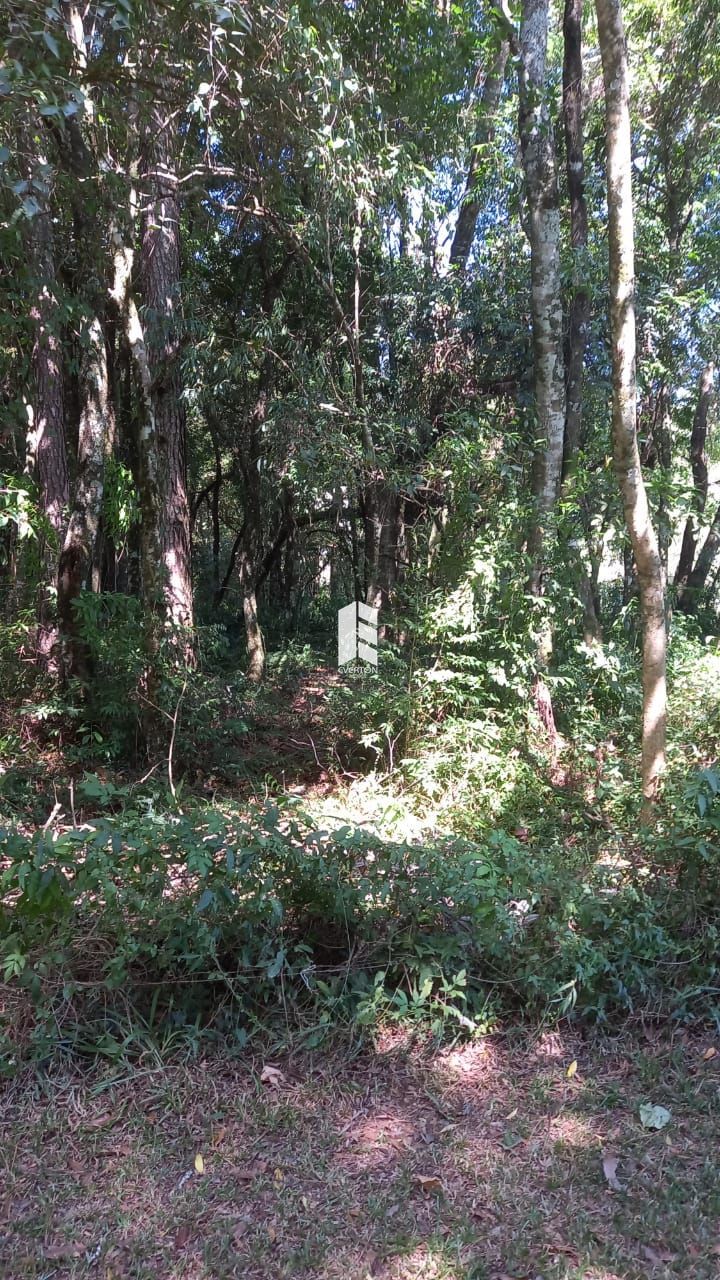 Terreno à venda parque pinhal itaara/rs