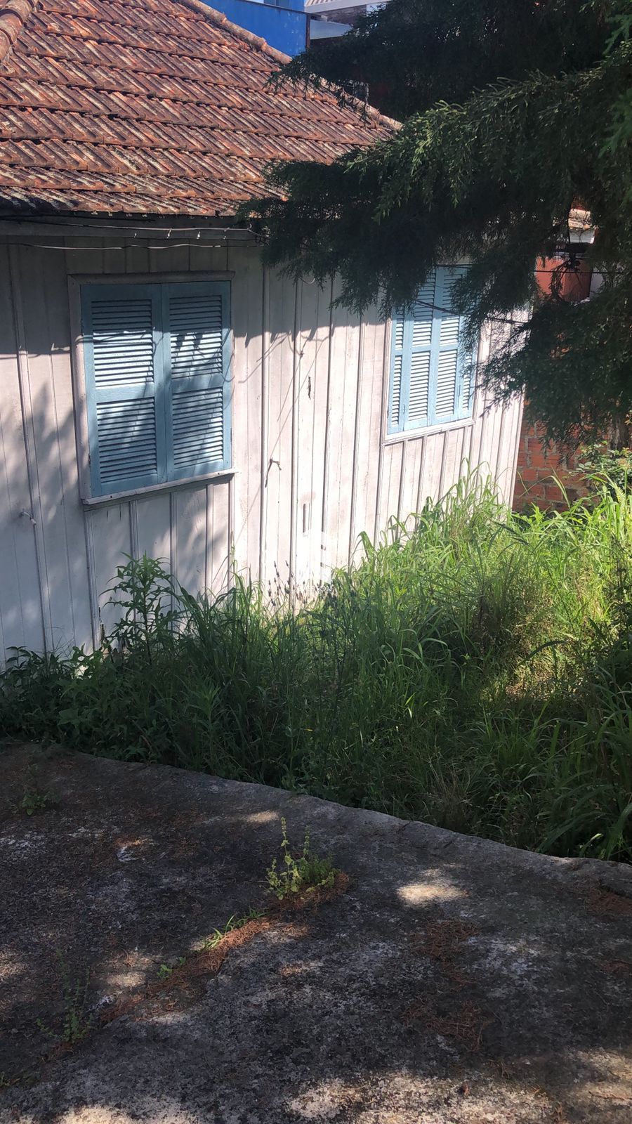 Terreno à venda Nossa Senhora do Perpétuo Socorro Santa Maria/RS