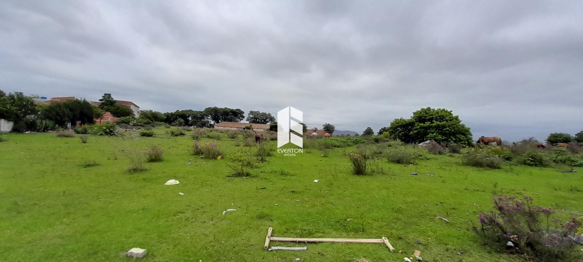 Lote/Terreno de 21375m² no bairro Pinheiro Machado, em Santa Maria | Eu Corretor