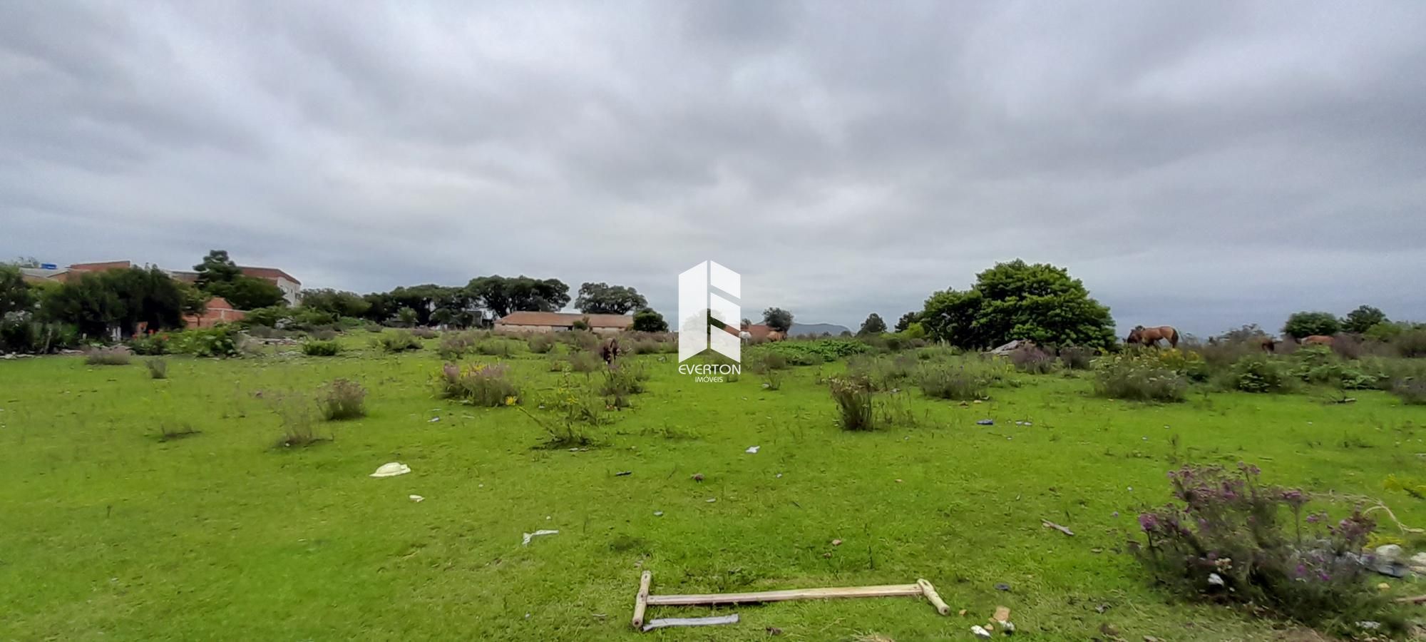 Lote/Terreno de 21375m² no bairro Pinheiro Machado, em Santa Maria | Eu Corretor