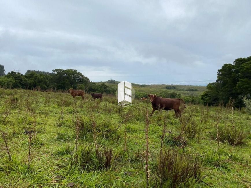 Lote/Terreno Comercial de 5700000m² no bairro Zona rural, em Santana da Boa Vista | Eu Corretor