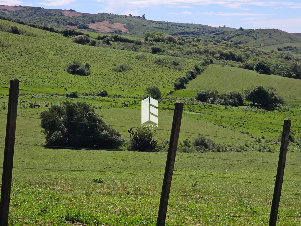 Fazenda 3 dormitórios à venda centro lavras do sul/rs