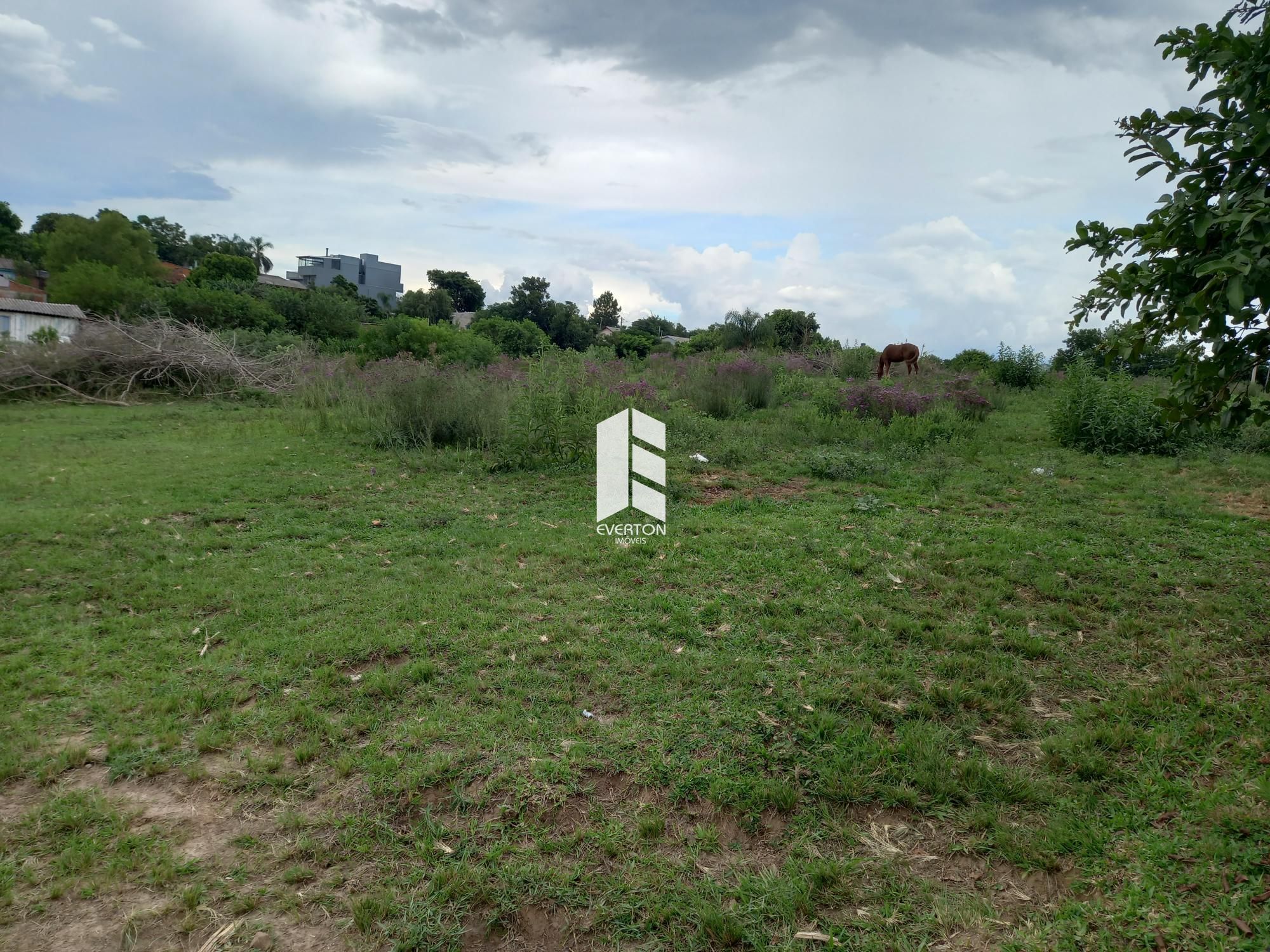 Lote/Terreno de 1000m² no bairro Pinheiro Machado, em Santa Maria | Eu Corretor