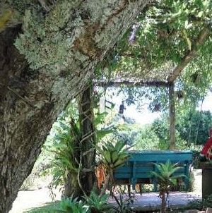 Chácara de 4 quartos, 20000m² no bairro Rincão dos Minelo, em Itaara | Eu Corretor