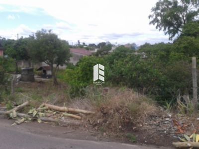 Lote/Terreno de 975m² no bairro Tomazetti, em Santa Maria | Eu Corretor